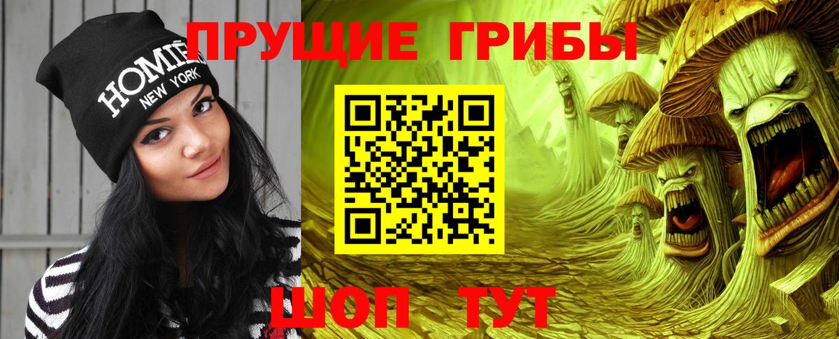 Псилоцибиновые грибы GOLDEN TEACHER Железноводск